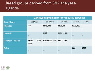 Innovative use of conventional and new technologies to unravel breed options for smallholder dairy production in Africa