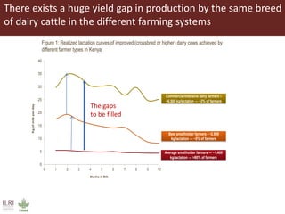 Innovative use of conventional and new technologies to unravel breed options for smallholder dairy production in Africa