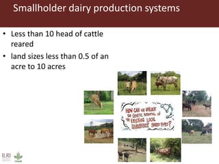 Innovative use of conventional and new technologies to unravel breed options for smallholder dairy production in Africa