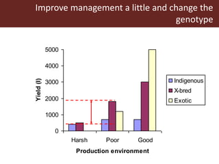 Innovative use of conventional and new technologies to unravel breed options for smallholder dairy production in Africa