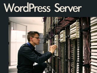 WordPress	 Server
 