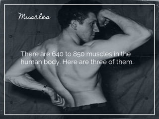 Muscles
There are 640 to 850 muscles in the
human body. Here are three of them.
 