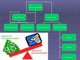 Types of working capital Basis of concept  Basis of nature Gross working capital Net working capital Fixed working capital Variable working capital Seasonal Precautionary  Speculative  