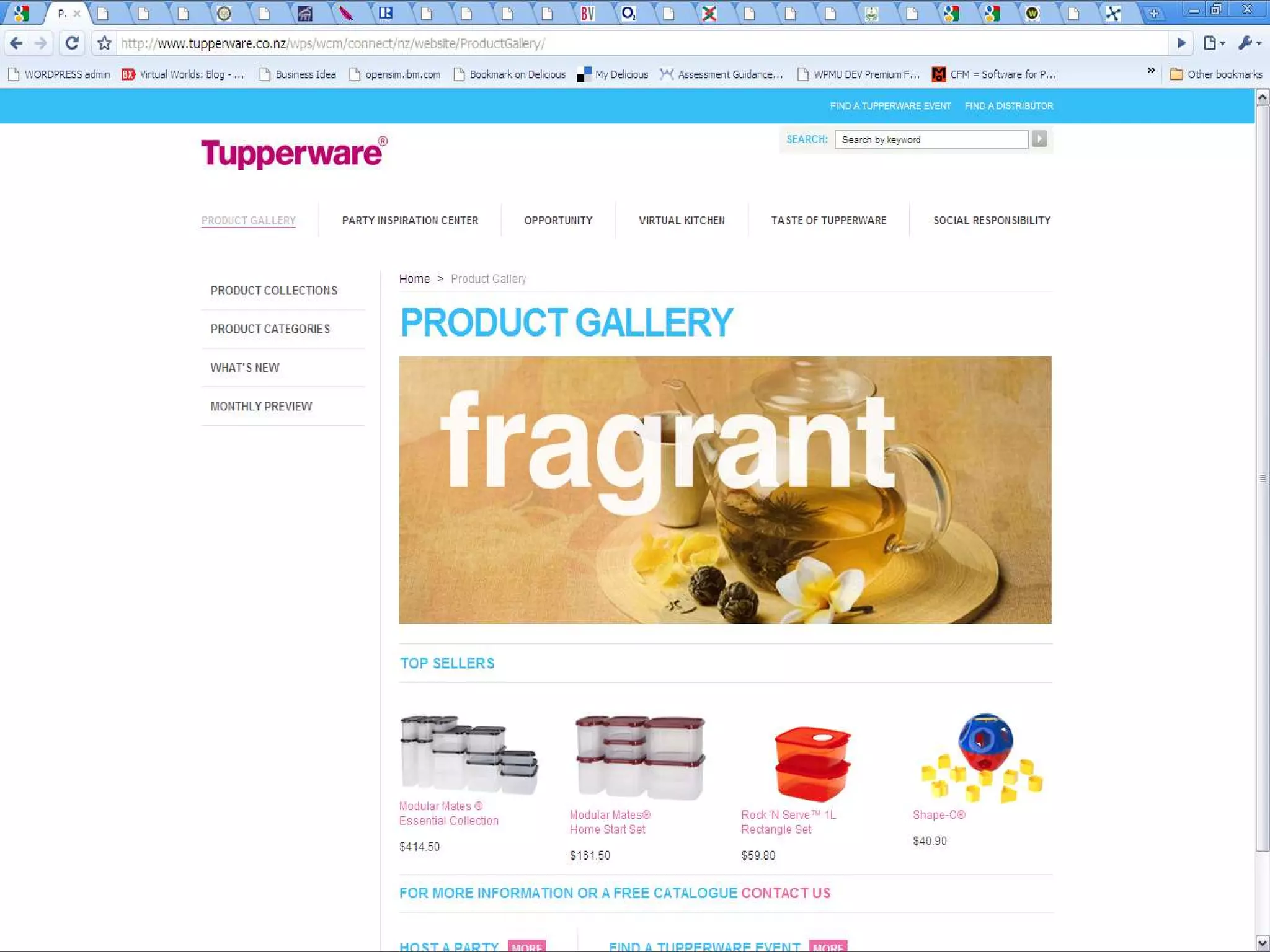 Web Content Management