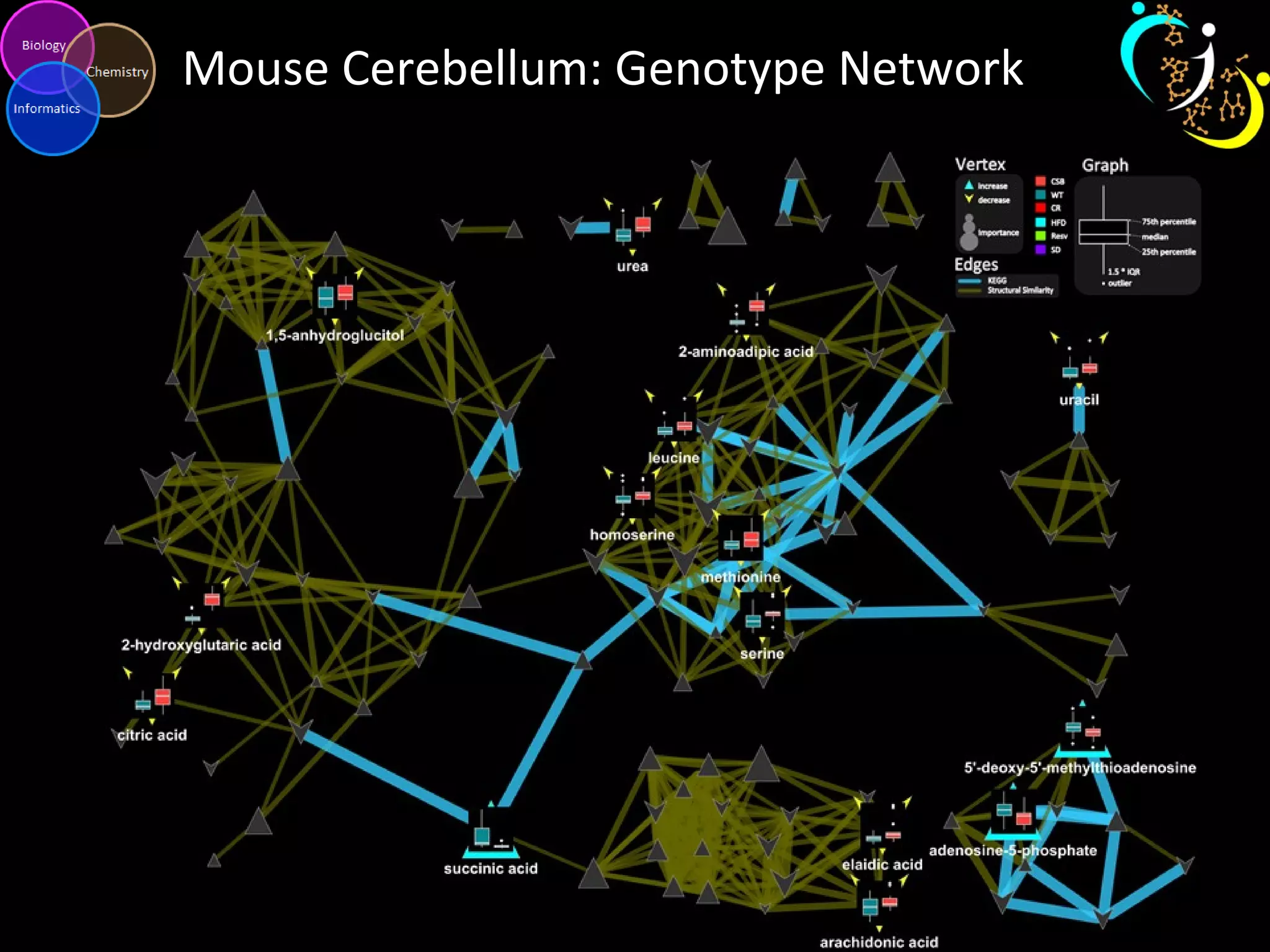 Mouse Cerebellum: Genotype Network
 