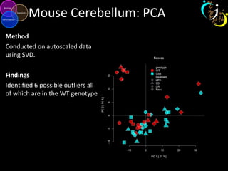 Mouse Cerebellum: PCA
Method
Conducted on autoscaled data
using SVD.
Findings
Identified 6 possible outliers all
of which are in the WT genotype
 