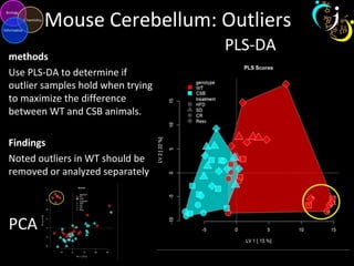 Mouse Cerebellum: Outliers
methods
Use PLS-DA to determine if
outlier samples hold when trying
to maximize the difference
between WT and CSB animals.
Findings
Noted outliers in WT should be
removed or analyzed separately
PCA
PLS-DA
 