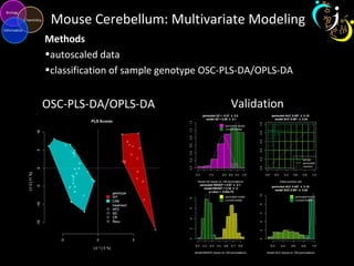 Mouse Cerebellum: Multivariate Modeling
Methods
•autoscaled data
•classification of sample genotype OSC-PLS-DA/OPLS-DA
OSC-PLS-DA/OPLS-DA Validation
 