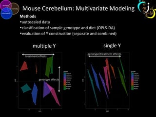Mouse Cerebellum: Multivariate Modeling
Methods
•autoscaled data
•classification of sample genotype and diet (OPLS-DA)
•evaluation of Y construction (separate and combined)
multiple Y single Y
 