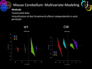 Mouse Cerebellum: Multivariate Modeling
Methods
•autoscaled data
•classification of diet (treatment) effects independently in each
genotype
WT CSB
 