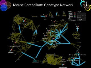 Mouse Cerebellum: Genotype Network
 