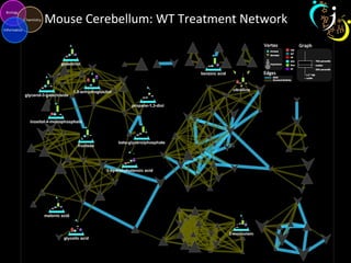 Mouse Cerebellum: WT Treatment Network
 