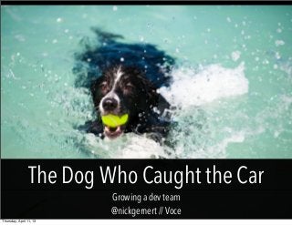 The Dog Who Caught the Car
                          Growing a dev team
                          @nickgernert // Voce
Thursday, April 11, 13
 