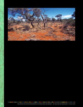 100 LES DROITS DES PEUPLES AUTOCHTONES ET TRIBAUX DANS LA PRATIQUE - UN GUIDE SUR LA CONVENTION N° 169 DE L’OIT 
l’octroi d’un permis d’exploitation à une compagnie 
pétrolière pour mener des activités de prospection sur le 
territoire du peuple autochtone Awa sans sa consultation 
préalable, la commission d’experts de l’OIT a pris note 
du fait que le gouvernement avait appliqué le critère de 
la «présence de manière régulière et permanente des 
communautés indigènes» sur ces terres pour juger de 
l’impact que ce projet pourrait avoir sur les communautés 
concernées. 
Le puits d’exploration prévu se situe au centre des terres 
ancestrales des Awas, mais à 1,7 kilomètres des frontières 
officiellement reconnues de la réserve. En conclusion, 
la commission a estimé que l’occupation de la zone 
par le projet de puits d’exploration aurait un impact 
sur les communautés de cette région, notamment les 
communautés awas. 
La commission rappelle que les «droits des [peuples 
indigènes] de propriété et de possessions sur les terres 
qu’ils occupent traditionnellement», affirmés à l’article 14, 
paragraphe 1 de la convention N° 169, ne correspondent 
pas forcément au critère de «présence de manière 
régulière et permanente» utilisé par le gouvernement. 
Ainsi, la commission rappelle que la «convention ne 
se réfère pas uniquement aux zones occupées par 
les peuples indigènes mais également au «processus 
du développement, dans la mesure où celui-ci a une 
incidence sur leur vie […] et [aux] terres qu’ils occupent ou 
utilisent d’une autre manière (article 7, paragraphe 1)». 
La commission a donc conclu que «Le fait qu’il existe 
un projet de prospection ou d’exploitation à proximité 
immédiate des limites officiellement reconnues de la 
réserve des peuples intéressés relève sans conteste de la 
convention.» 
Conseil d’administration, 282e session, novembre 2001, 
Réclamation en vertu de l’article 24 de la Constitution de 
l’OIT, Colombie, GB.282/14/3. 
7.5. Application concrète: terres et 
territoires 
Bolivie: émancipation grâce aux droits sur les terres 
Le territoire des peuples Ese Ejja, Tacana et Cavineño se 
trouve dans le nord de la l’Amazonie bolivienne. Cette 
zone est très reculée et éloignée du centre politique 
du pays. Elle n’abrite quasiment aucune institution 
publique. Depuis longtemps, les ressources naturelles 
de cette région (produits ligneux et non ligneux comme 
le caoutchouc et les noix) ont été exploitées par des 
intervenants extérieurs, en fonction des tendances du 
marché mondial. Les peuples autochtones ont souffert 
de l’exclusion, de la domination de ces exploitants et de 
l’ignorance de leurs droits. La plupart ont été exploités 
comme travailleurs non rémunérés, notamment par le biais 
de pratiques telles que le travail forcé et la servitude pour 
dette. Ceux qui n’ont pas été victimes de ces pratiques 
ont été forcés de se reloger dans des zones encore 
difficiles d’accès, ce qui a entraîné une fragmentation de 
leur société et a fait surgir des conflits entre des groupes 
 