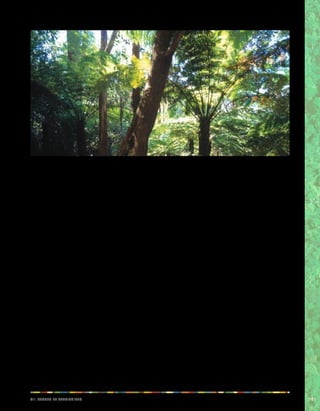 iiv. Teerrs et eeiiorrrstt 101 
autochtones. Plus d’un siècle passé à subir la domination 
d’un modèle social, économique, culturel et politique 
étranger a affaibli les institutions des peuples autochtones 
et réduit leurs capacités, mais cela n’a pas mené à leur 
élimination. 
L’émergence, dans les années 1990, de mouvements 
et d’organisations indigènes autour de revendications 
territoriales a conduit à d’importants changements sur 
le plan politique et juridique. En 1991, la Bolivie a ratifié 
la convention N° 169, ce qui a entraîné un nombre de 
réformes juridiques, dont la réforme constitutionnelle de 
1994, qui reconnaît et renforce les droits collectifs institués 
par la convention. L’article 171 de la nouvelle Constitution 
a accordé aux peuples indigènes la propriété de leurs 
terres communautaires d’origine (TCO) et le droit d’utiliser 
durablement les ressources naturelles qui s’y trouvent. 
Autre conséquence de la ratification de la convention, 
la loi de 1996 sur la réforme agraire a reconnu les droits 
collectifs des peuples indigènes sur leurs territoires, ainsi 
que le droit coutumier indigène et les normes indigènes de 
distribution, redistribution et d’utilisation des terres. 
Les réformes ont été suivies de mesures sur le long terme 
et à grande échelle visant à démarquer et à émettre des 
titres de propriété pour les TCO; ce qui, après dix ans, a 
débouché sur la reconnaissance juridique de plus de 500 
communautés «paysannes» (voir la rubrique 1.4) et de 10 
TCO dans le nord de l’Amazonie. Cette reconnaissance a 
eu un impact considérable pour ces communautés sur le 
plan politique, juridique, social et économique. 
C’est à cette période que les peuples Ese Ejja, Tacana et 
Cavineño, par l’intermédiaire de l’Organisation indigène de 
la région de l’Amazonie bolivienne (CIRABO), ont demandé 
l’émission d’un titre de propriété collectif sur leur territoire 
(TCO). Leurs TCO ont été reconnues légalement au 
moyen de deux titres de propriété émis l’un après l’autre, 
en 2001 et en 2005. La surface totale des TCO est de 
407 584 hectares et les titres appartiennent collectivement 
aux 28 communautés qui habitent ce territoire, soit une 
population totale de 3 594 habitants (en 2000). 
Le processus de reconnaissance juridique des TCO 
réunit diverses parties et comprend plusieurs étapes, 
notamment la sensibilisation, le renforcement des 
capacités, des procédures juridiques et administratives 
et un travail de démarcation, sur place. Ce processus 
a également entraîné une confrontation avec l’élite 
locale, régionale et nationale, qui contrôlait cette zone 
auparavant. À l’inverse, pour les peuples Ese Ejja, Tacana 
et Cavineño, le processus d’émission des titres a donné 
naissance à de nouvelles aspirations en termes de 
relations sociales, économiques, culturelles et politiques. 
L’octroi de ces titres a été un véritable tournant, amenant 
des améliorations évidentes: 
«La terre appartenait à des employeurs privés et nous, 
les familles autochtones, travaillions comme «siringueros» 
[personne chargée de saigner les arbres pour en extraire 
le caoutchouc], nous vivions là jusqu’à notre mort. Nous 
étions complètement à la merci de nos employeurs, car 
 