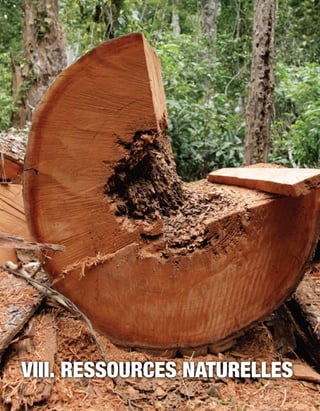 106 
VIII. Ressources naturelles 
 