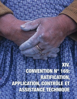 172 
XIV. 
Convention N° 169: 
ratification, 
application, contrôle et 
assistance technique 
 