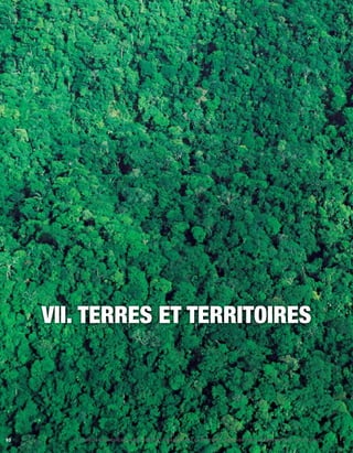 90 LES DROITS DES PEUPLES AUTOCHTONES ET TRIBAUX DANS LA PRATIQUE - UN GUIDE SUR LA CONVENTION N° 169 DE L’OIT 
VII. Terres et territoires 
 
