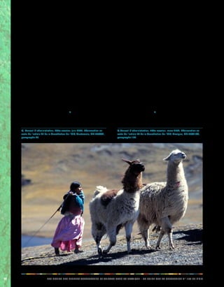 96 LES DROITS DES PEUPLES AUTOCHTONES ET TRIBAUX DANS LA PRATIQUE - UN GUIDE SUR LA CONVENTION N° 169 DE L’OIT 
gouvernementale coordonnée et systématique visant à 
garantir le respect de l’intégrité des peuples autochtones 
et à ce que des consultations appropriées soient menées 
concernant les mesures proposées. 
La plupart du temps, la régularisation de la propriété des 
terres est une tâche complexe dans laquelle plusieurs 
parties sont impliquées et qui se déroule en plusieurs 
étapes, notamment l’adoption de lois, la définition de 
procédures adéquates et la création de mécanismes 
institutionnels chargés de la mise en oeuvre des mesures 
et de trancher entre les revendications territoriales 
concurrentes. Bien qu’elles admettent que la régularisation 
de la propriété des terres soit un processus de longue 
haleine, les instances de contrôle de l’OIT ont également 
recommandé l’adoption de mesures de transition, au 
cours de ce processus, destinées à protéger les droits 
des peuples autochtones sur leurs terres en attendant la 
résolution définitive du problème.7) 
7) Conseil d’administration, 299e session, juin 2007, Réclamation en 
vertu de l’article 24 de la Constitution de l’OIT, Guatemala, GB.299/6/1, 
paragraphe 45. 
Création de mécanismes de résolution des 
revendications territoriales 
Il est quasiment inévitable que le processus de 
régularisation de la propriété et de la possession de terres 
donne lieu à des revendications territoriales concurrentes. 
Dans la plupart des cas, ces conflits apparaissent entre 
des communautés autochtones et des communautés 
non autochtones ou des individus, mais il arrive aussi 
qu’ils surgissent entre différentes communautés 
autochtones. Par conséquent, il est très important de 
mettre en place des procédures adéquates de résolution 
de ces revendications territoriales, qui prennent en 
compte les principes fondamentaux de consultation et 
de participation des peuples autochtones aux prises de 
décision concernant l’élaboration desdites procédures. 
Comme le font remarquer les instances de contrôle de 
l’OIT, la création de ces mécanismes de résolution des 
revendications territoriales est également un moyen de 
prévention des violences.8) 
À cet égard, l’article 27 de la déclaration de l’ONU affirme 
que les États sont dans l’obligation de reconnaître les 
8) Conseil d’administration, 289e session, mars 2004, Réclamation en 
vertu de l’article 24 de la Constitution de l’OIT, Mexique, GB.289/17/3, 
paragraphe 134. 
 