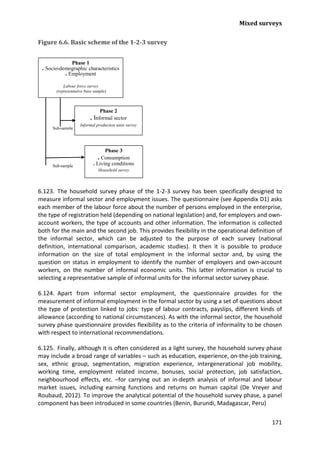 Mixed surveys 
171 
Figure 6.6. Basic scheme of the 1-2-3 survey 
Phase 1 . Socio-demographic characteristics . Employment Labour force survey (representative base sample) Phase 2 . Informal sector Informal production units survey Sub-sample Phase 3 . Consumption . Living conditions Household survey Sub-sample 
6.123. The household survey phase of the 1-2-3 survey has been specifically designed to measure informal sector and employment issues. The questionnaire (see Appendix D1) asks each member of the labour force about the number of persons employed in the enterprise, the type of registration held (depending on national legislation) and, for employers and own- account workers, the type of accounts and other information. The information is collected both for the main and the second job. This provides flexibility in the operational definition of the informal sector, which can be adjusted to the purpose of each survey (national definition, international comparison, academic studies). It then it is possible to produce information on the size of total employment in the informal sector and, by using the question on status in employment to identify the number of employers and own-account workers, on the number of informal economic units. This latter information is crucial to selecting a representative sample of informal units for the informal sector survey phase. 
6.124. Apart from informal sector employment, the questionnaire provides for the measurement of informal employment in the formal sector by using a set of questions about the type of protection linked to jobs: type of labour contracts, payslips, different kinds of allowance (according to national circumstances). As with the informal sector, the household survey phase questionnaire provides flexibility as to the criteria of informality to be chosen with respect to international recommendations. 
6.125. Finally, although it is often considered as a light survey, the household survey phase may include a broad range of variables – such as education, experience, on-the-job training, sex, ethnic group, segmentation, migration experience, intergenerational job mobility, working time, employment related income, bonuses, social protection, job satisfaction, neighbourhood effects, etc. –for carrying out an in-depth analysis of informal and labour market issues, including earning functions and returns on human capital (De Vreyer and Roubaud, 2012). To improve the analytical potential of the household survey phase, a panel component has been introduced in some countries (Benin, Burundi, Madagascar, Peru)  