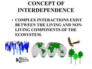Environmental issues.ppt