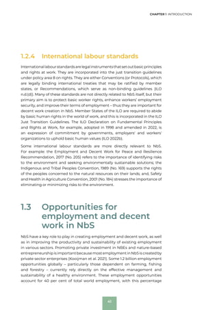 Example Nbs Work Section Decent work in Nature Based Solutions, 2022 | PDF