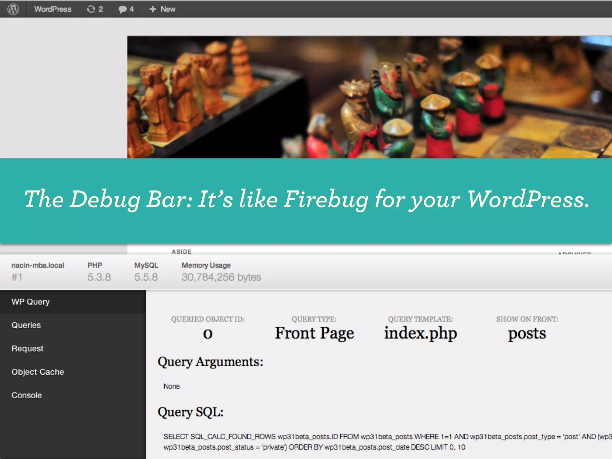 The Debug Bar: It’s like Firebug for your WordPress.
 
