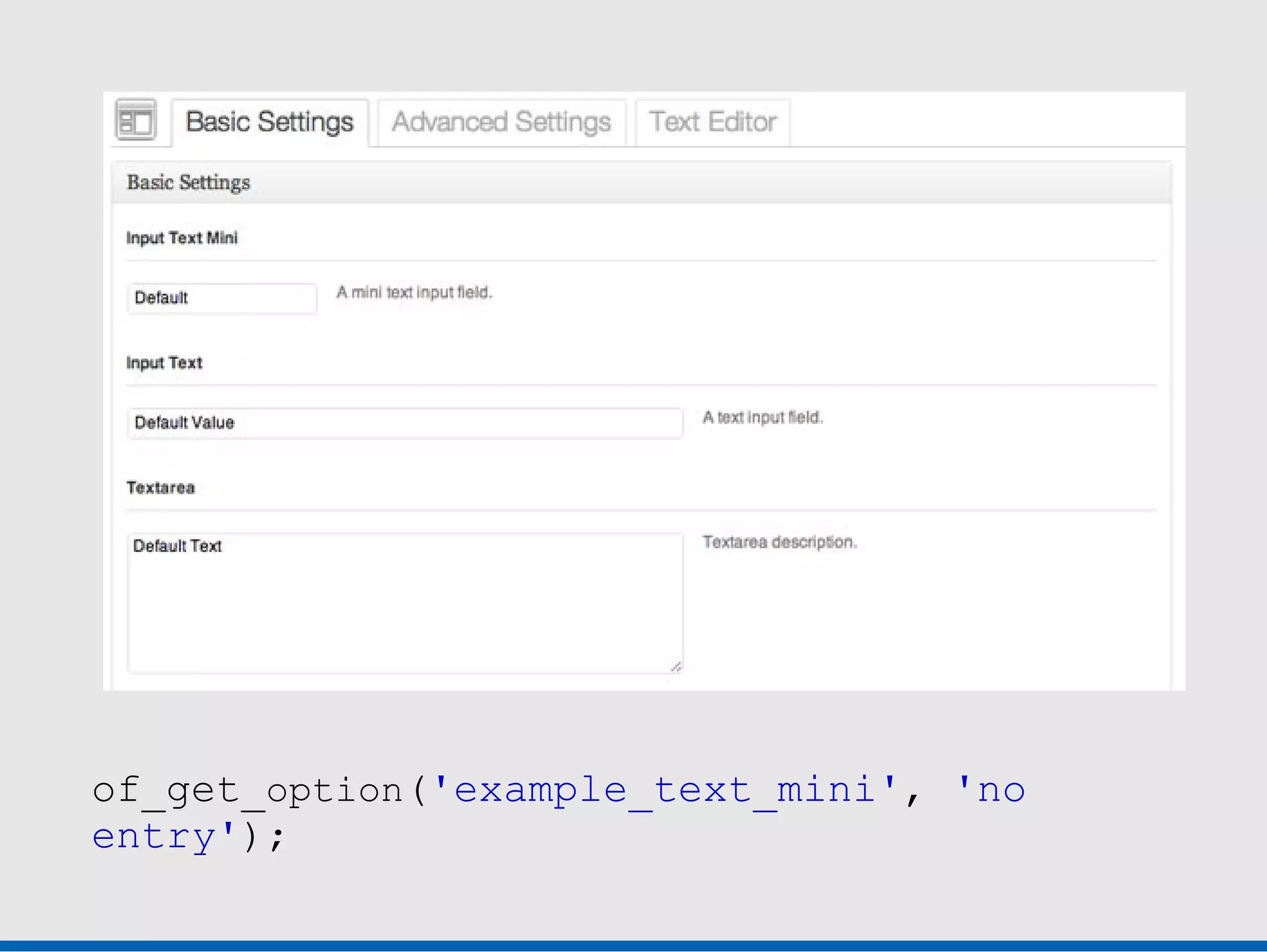 of_get_option('example_text_mini', 'no
entry');
 