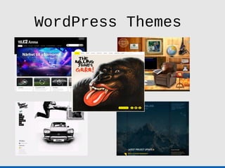 WordPress Themes
 