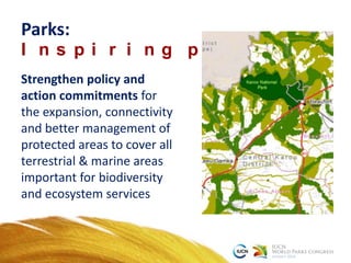 Parks:
I n s p i r i n g p l a c e s
Strengthen policy and
action commitments for
the expansion, connectivity
and better management of
protected areas to cover all
terrestrial & marine areas
important for biodiversity
and ecosystem services
 