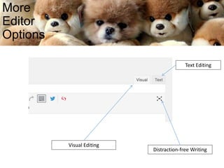 More
Editor
Options
Distraction-free Writing
Text Editing
Visual Editing
 