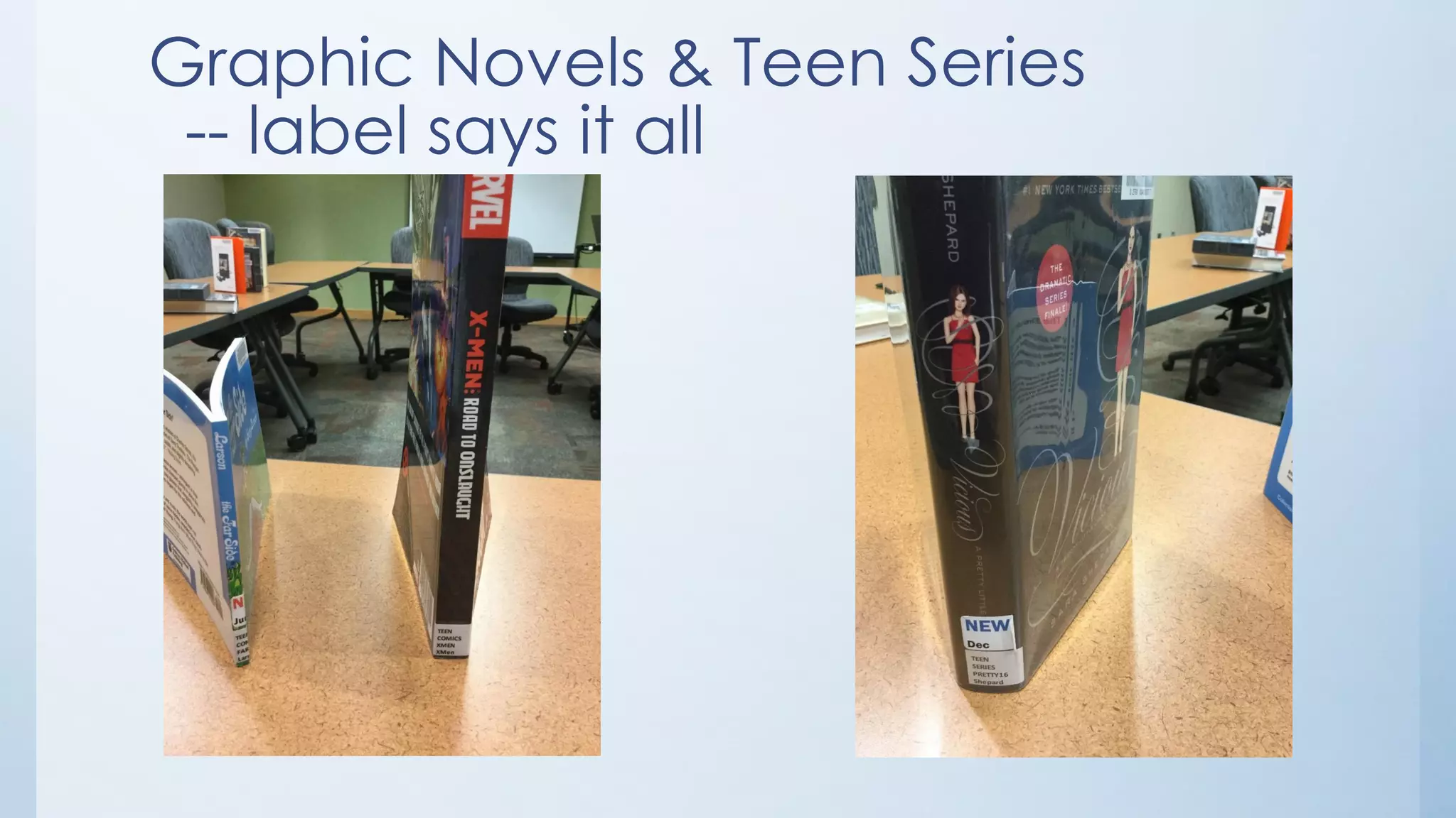 Graphic Novels & Teen Series
-- label says it all
 