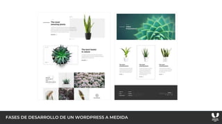 FASES DE DESARROLLO DE UN WORDPRESS A MEDIDA
 
