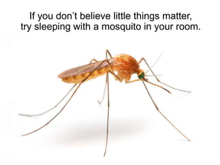 If you don’t believe little things matter,
try sleeping with a mosquito in your room.
 