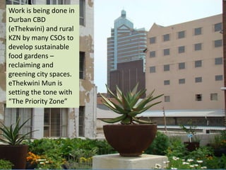 18
Work is being done in
Durban CBD
(eThekwini) and rural
KZN by many CSOs to
develop sustainable
food gardens –
reclaiming and
greening city spaces.
eThekwini Mun is
setting the tone with
“The Priority Zone”
 