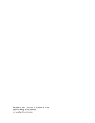 All photographs Copyright © Stephen J. Krieg
Stephen Krieg PhotoGraphics
www.naturalmoment.com
 