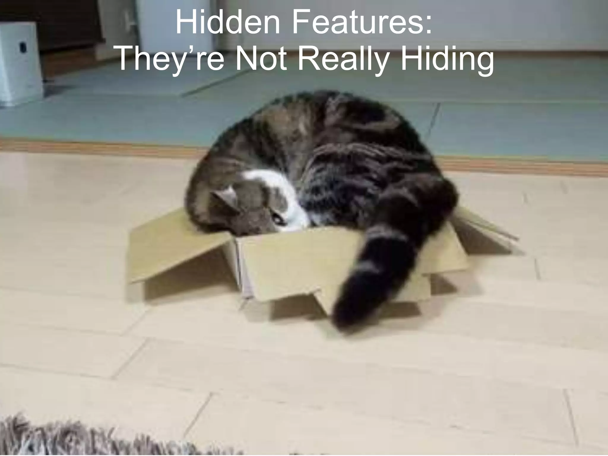 Hidden Features:
They’re Not Really Hiding
 