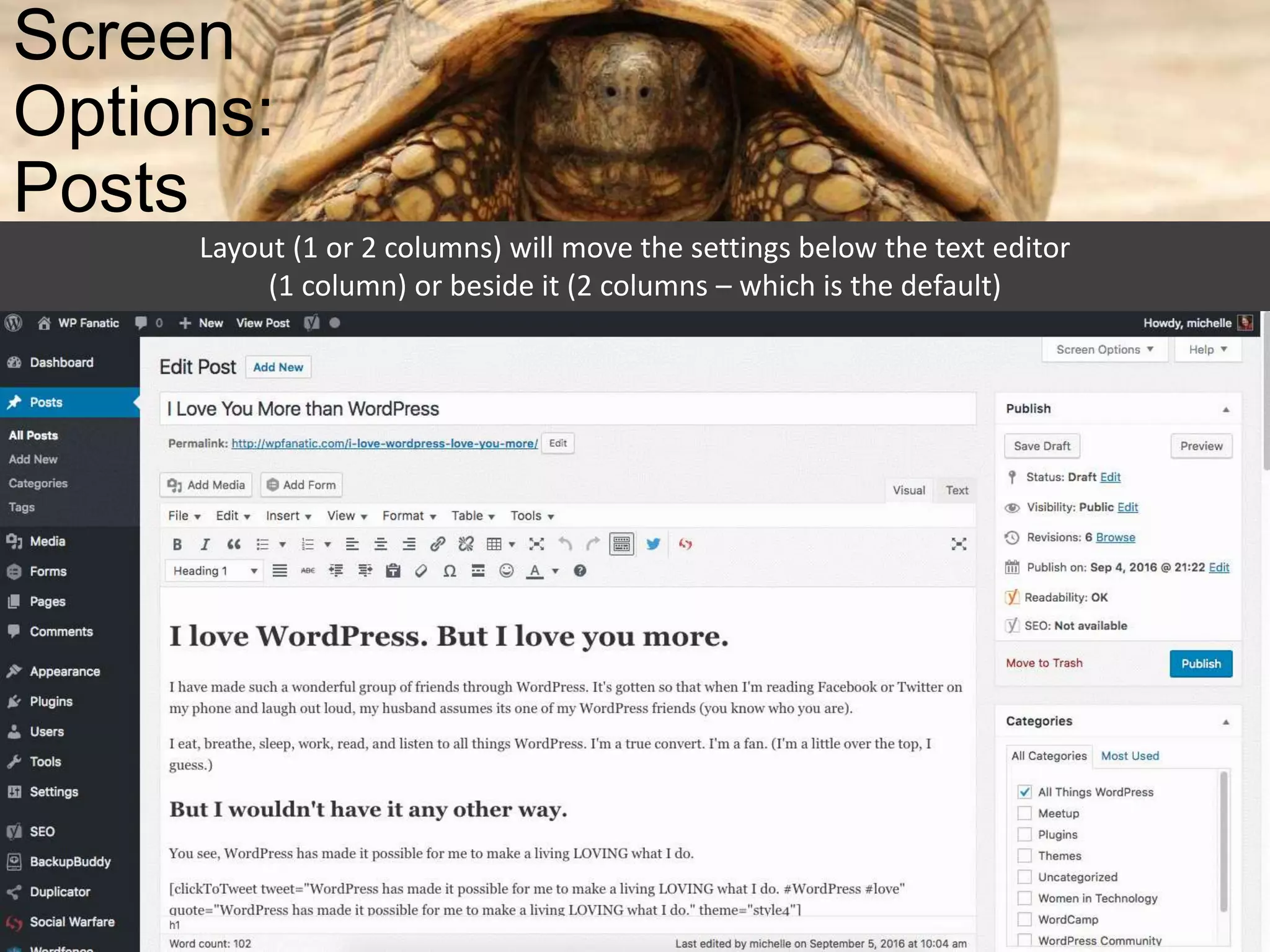 Screen
Options:
Posts
Layout (1 or 2 columns) will move the settings below the text editor
(1 column) or beside it (2 columns – which is the default)
 
