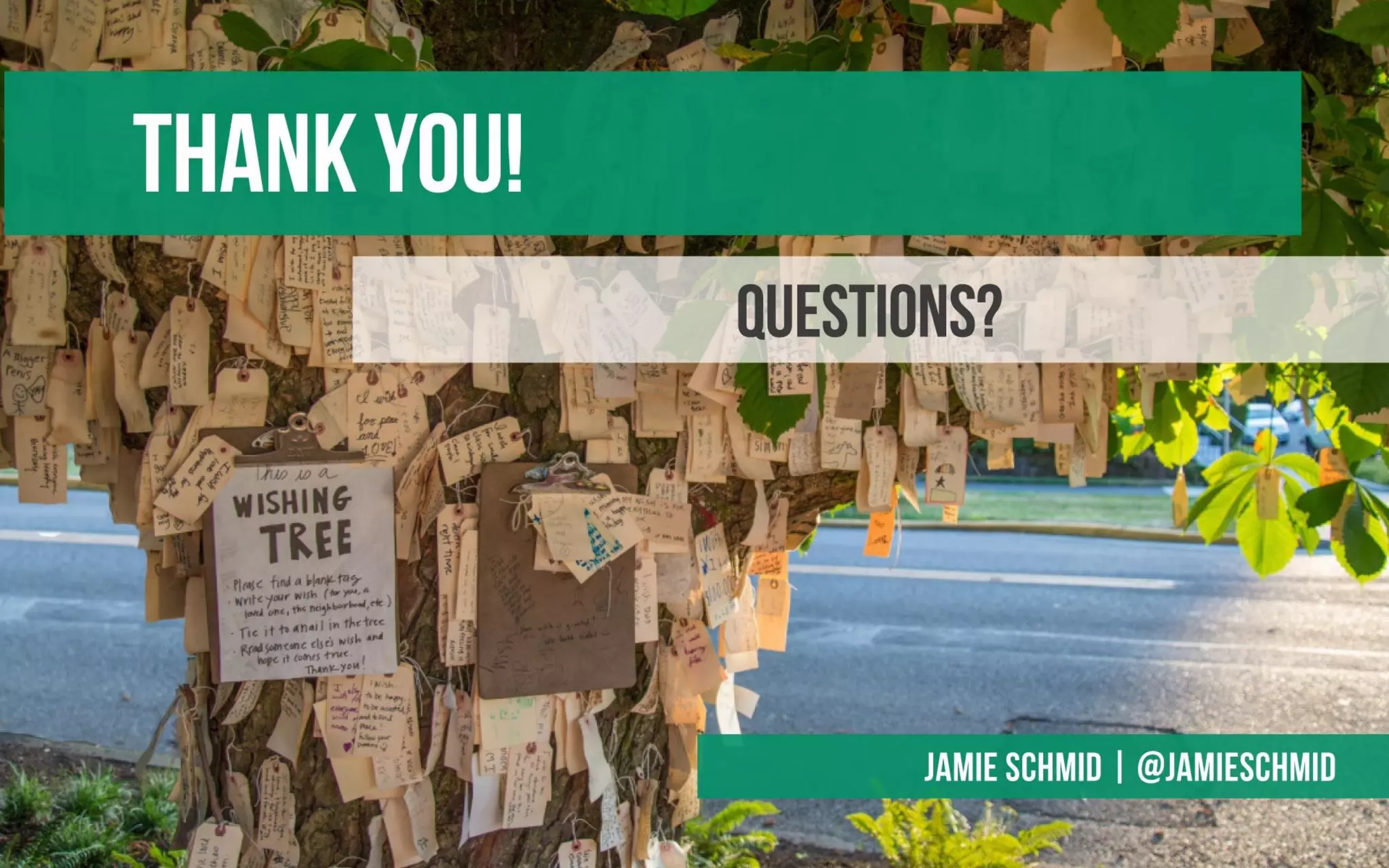 Content Doesn't Grow on Trees - An Introduction to Content Strategy