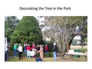 Decorating the Tree in the Park

 