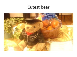 Cutest bear

 
