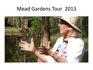 Mead Gardens Tour 2013

 