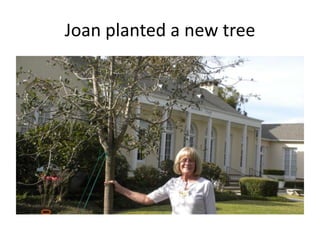 Joan planted a new tree

 