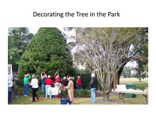 Decorating the Tree in the Park

 