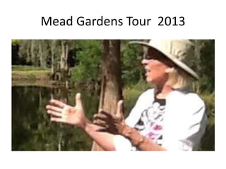 Mead Gardens Tour 2013

 