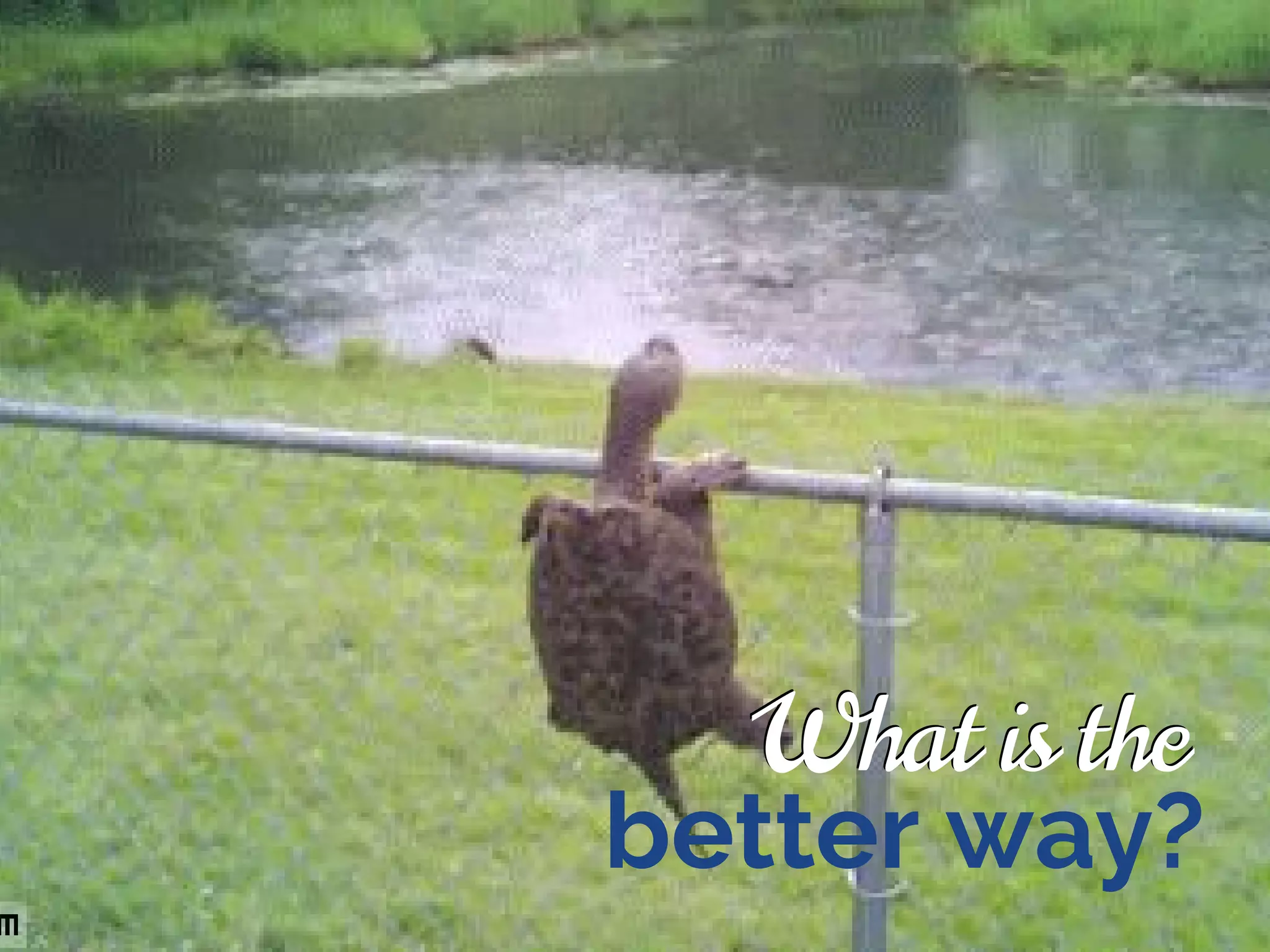 What is the
better way?
What is the
 