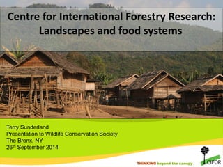 THINKING beyond the canopy
Centre for International Forestry Research:
Landscapes and food systems
Terry Sunderland
Presentation to Wildlife Conservation Society
The Bronx, NY
26th September 2014
 