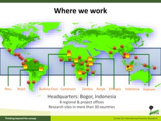 Centre for International Forestry Research: Landscapes and food systems  