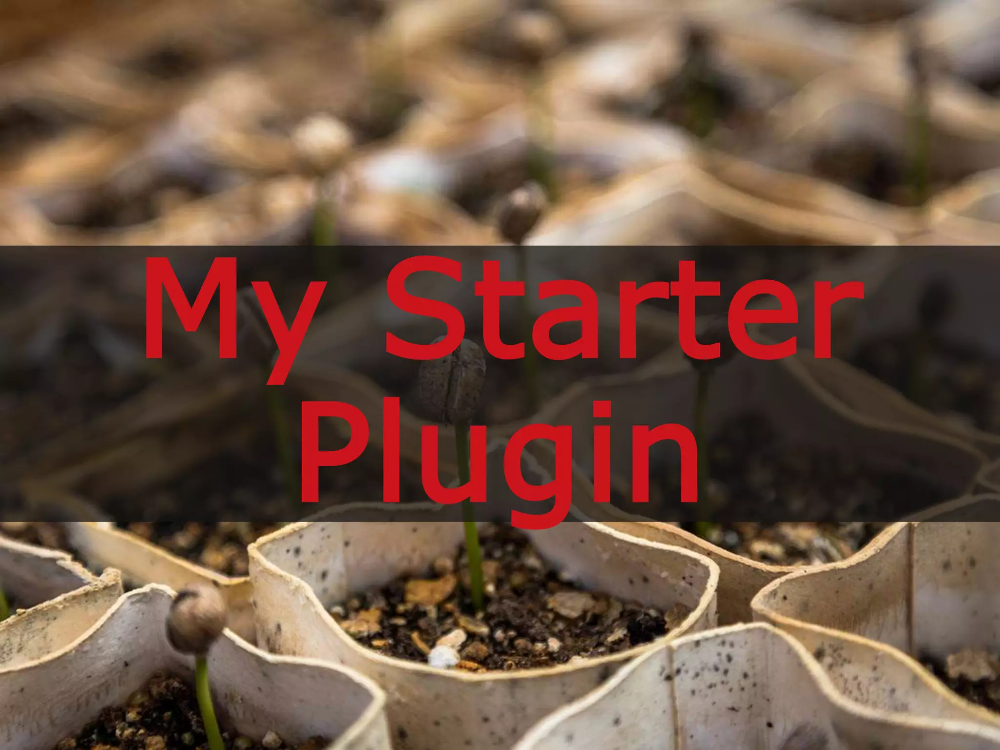 My Starter
Plugin
 
