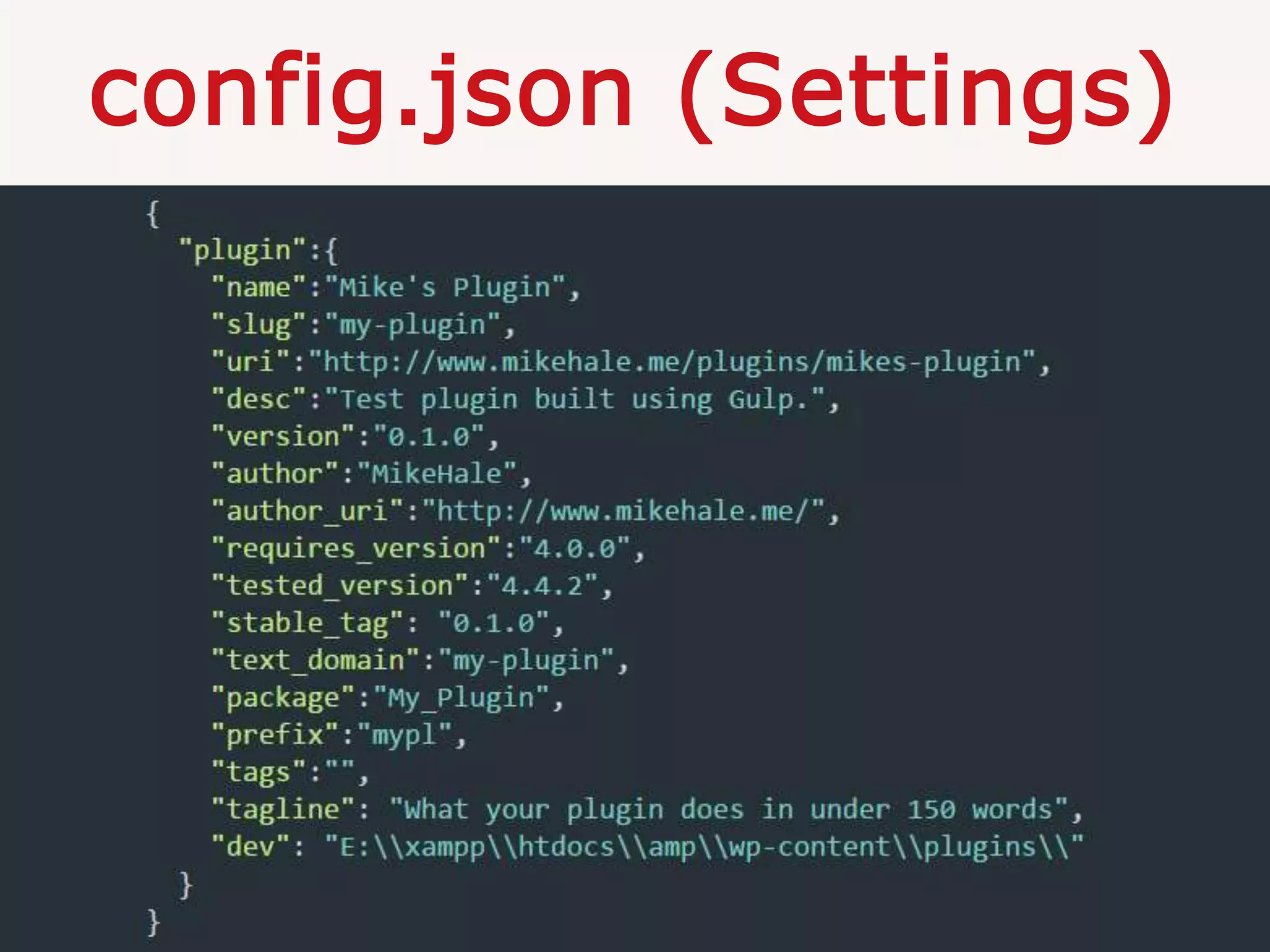 config.json (Settings)
 